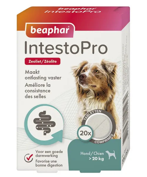 Beaphar IntestoPro (darmproblemen) - Onlinedierenwereld