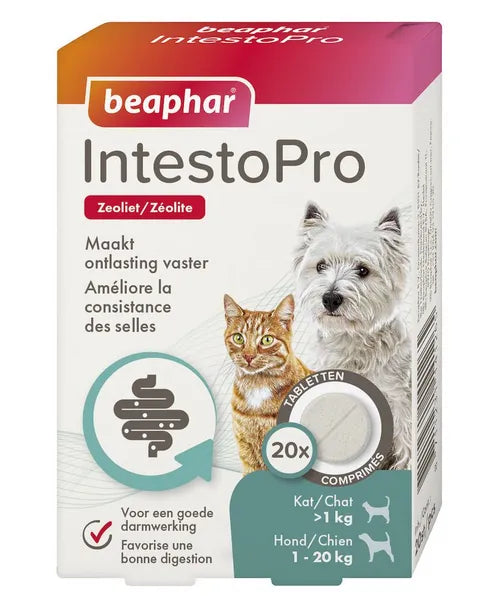 Beaphar IntestoPro (darmproblemen) - Onlinedierenwereld