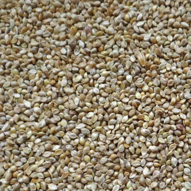 Japanse Millet (1 kg) - Onlinedierenwereld