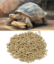 Metazoa Fitright Landschilpaddenkorrel - Onlinedierenwereld