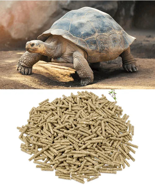 Metazoa Fitright Landschilpaddenkorrel - Onlinedierenwereld