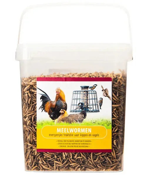 Aanbieding Voerwaarts Meelwormen (aanvullend diervoeder) - Onlinedierenwereld