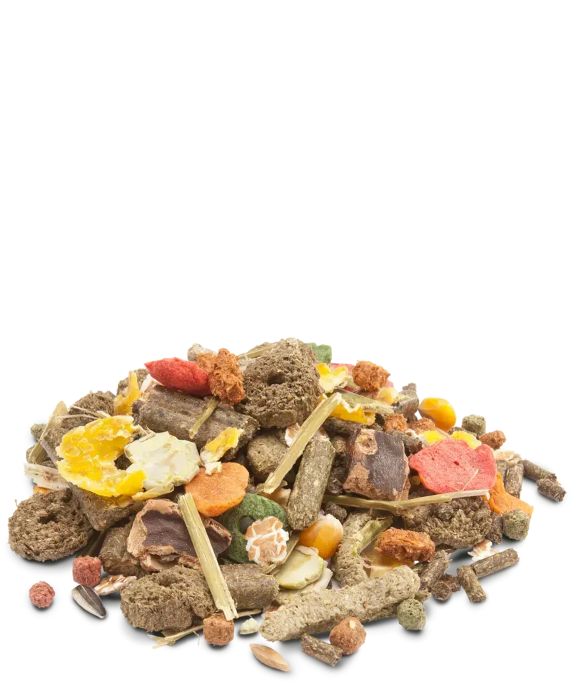 Aanbieding Versele-Laga Crispy Muesli Rabbits - Onlinedierenwereld