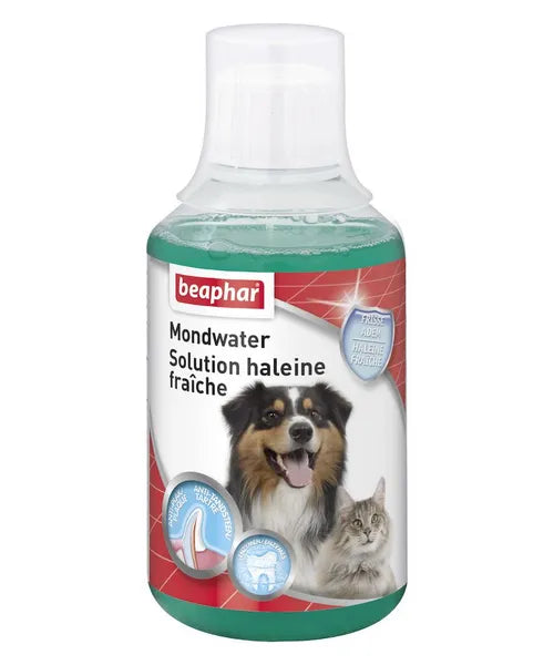 Beaphar Mondwater Hond/Kat - Onlinedierenwereld