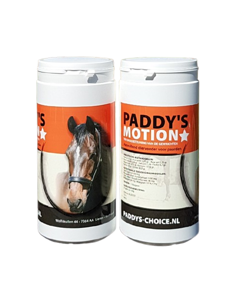Paddy’s Motion