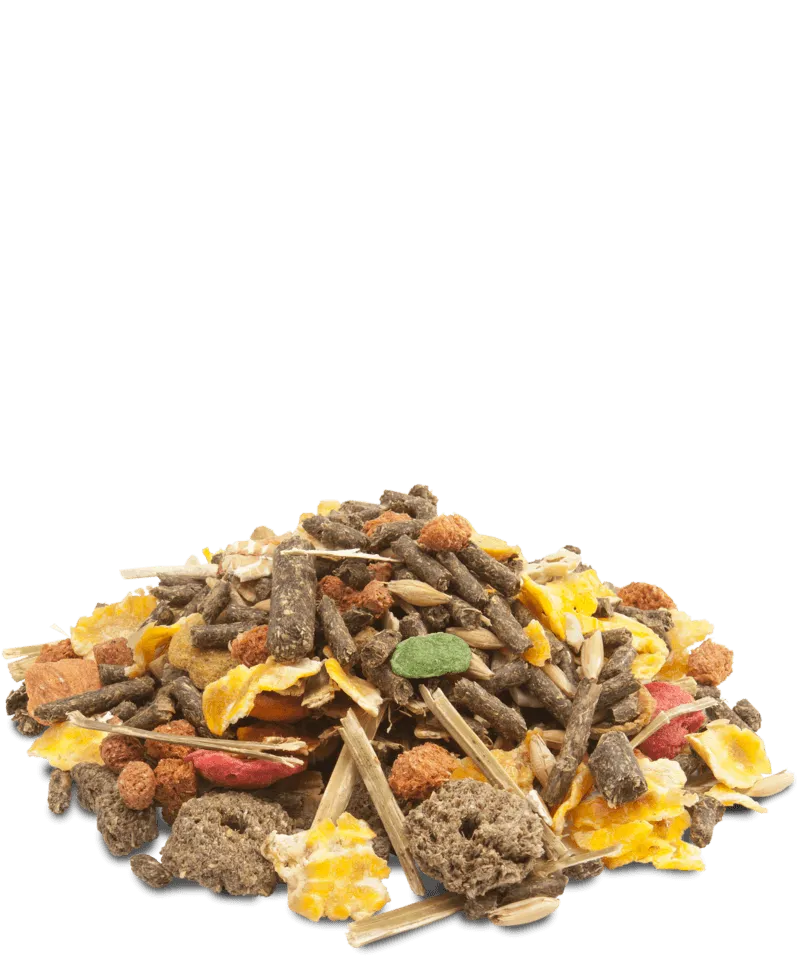 Mengeling Crispy Muesli Guinea Pig (Met extra vitamine C)