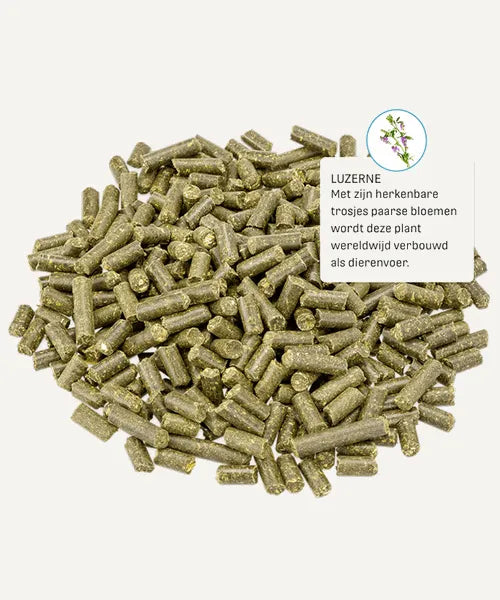 Metazoa MuscleFit HP23