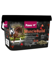 PAVO MuscleBuild - Onlinedierenwereld