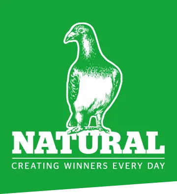 Logo Natural Piksteen (wordt wekelijks vers gefabriceerd)