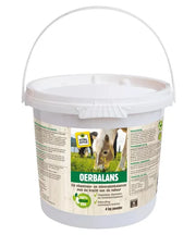 VITALstyle Oerbalans poeder (dagelijkse kruidenbalancer) - Onlinedierenwereld