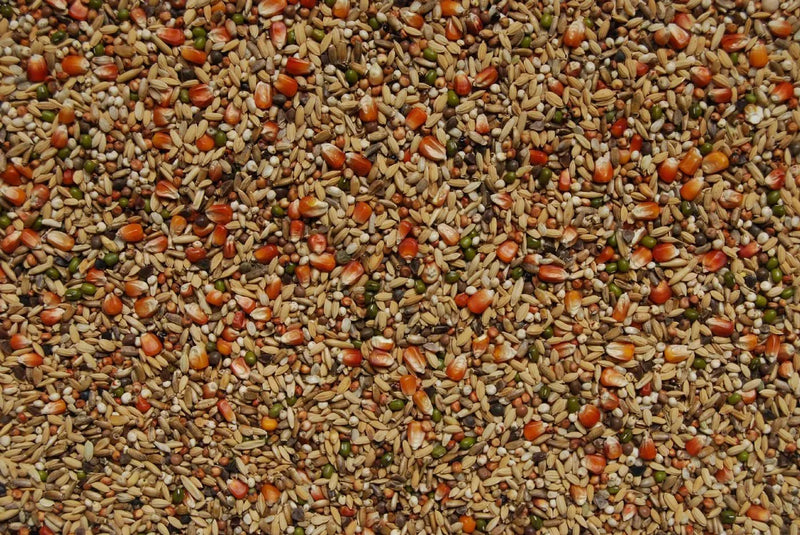 Matador Premium Detox (ontgiften) - Onlinedierenwereld