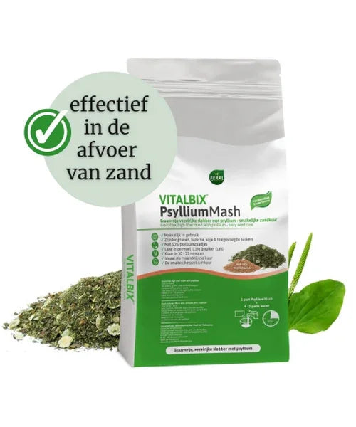 Vitalbix PsylliumMash