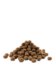 Aanbieding Opti Life Puppy Maxi - Onlinedierenwereld