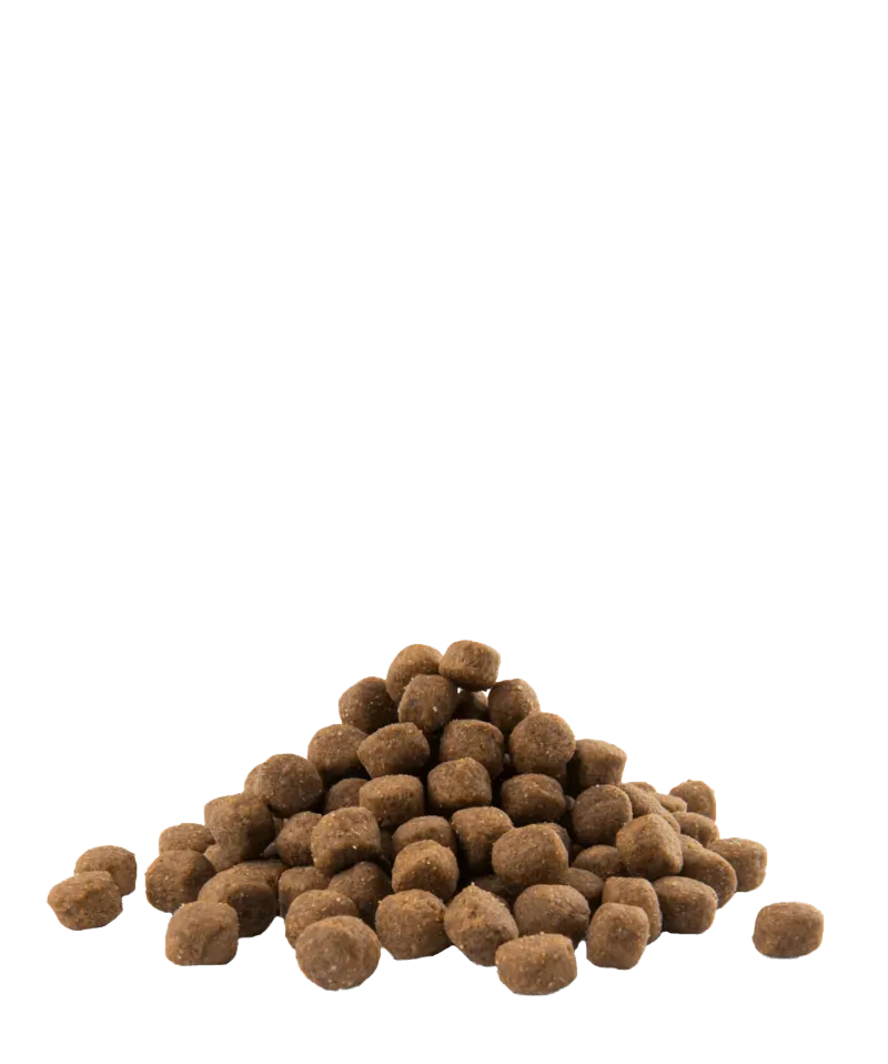 Aanbieding Opti Life Puppy Maxi - Onlinedierenwereld