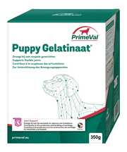 Puppy Gelatinaat - Onlinedierenwereld