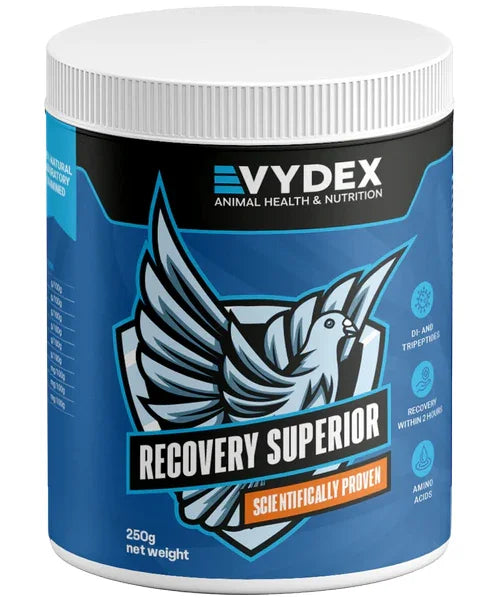 Vydex Recovery Superior - Onlinedierenwereld