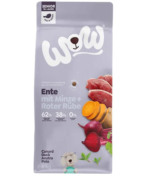 WOW Senior Eend met Munt - Onlinedierenwereld