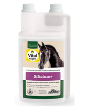 VitalStyle Silicium+ - Onlinedierenwereld