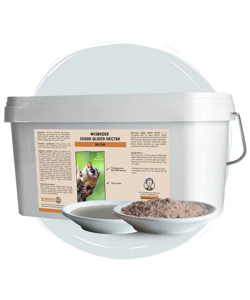 Wisbroek Sugar Glider - Onlinedierenwereld