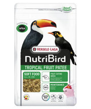 Nutribird Tropical Fruit patee - Onlinedierenwereld
