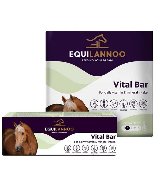 EquiLannoo Vital Bar - Onlinedierenwereld