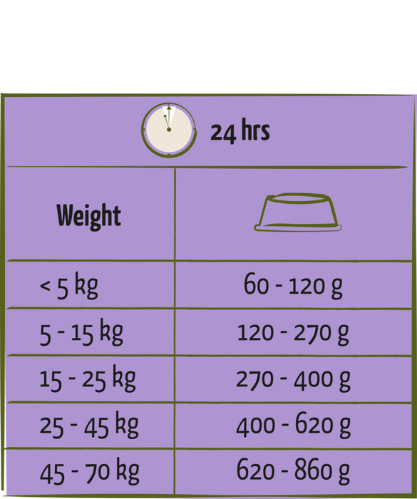 Happy Life Senior Kip