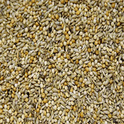 Vogro Afrikaanse Prachtvinken (met extra panicum en japans millet) - Onlinedierenwereld