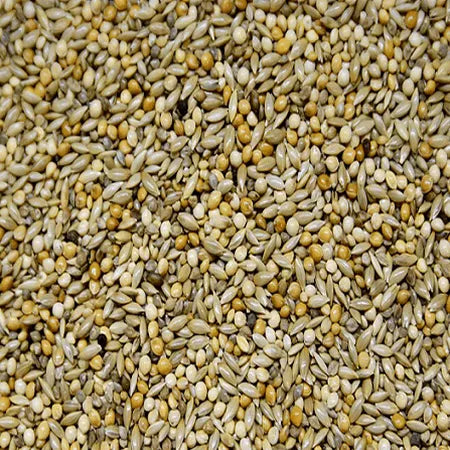 Vogro Afrikaanse Prachtvinken (met extra panicum en japans millet) - Onlinedierenwereld