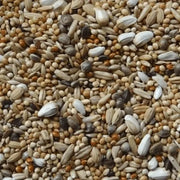 Vogro Grote Parkieten/Agaporniden GROF - Onlinedierenwereld.nl