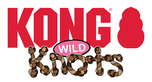 Kong Wild Knots Bear Assorti XLarge