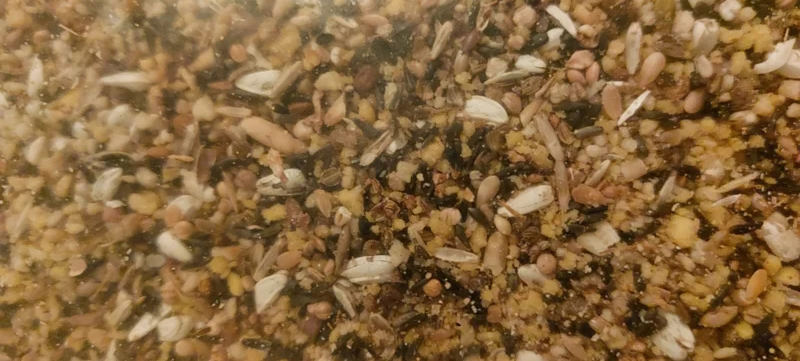 Het geheim van het Zuiden Wildzang (1 kg) - Onlinedierenwereld