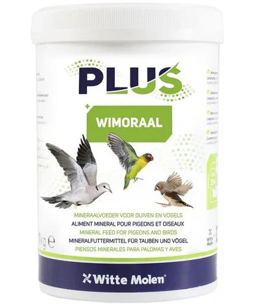 Witte Molen Plus Wimoraal - Onlinedierenwereld