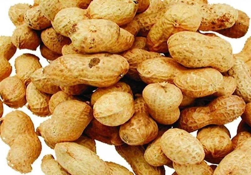 Doppinda (10 kg) - Onlinedierenwereld
