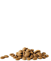 Happy Life Adult Essential (20 kg) brok
