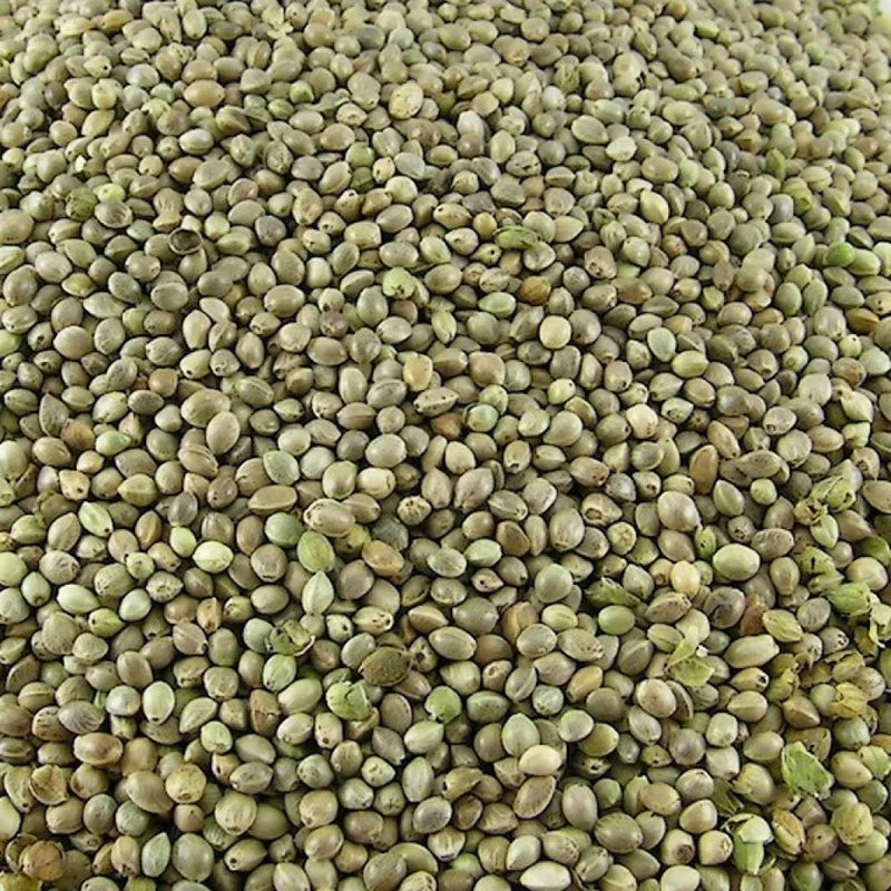 Hennepzaad (1 kg) - Onlinedierenwereld