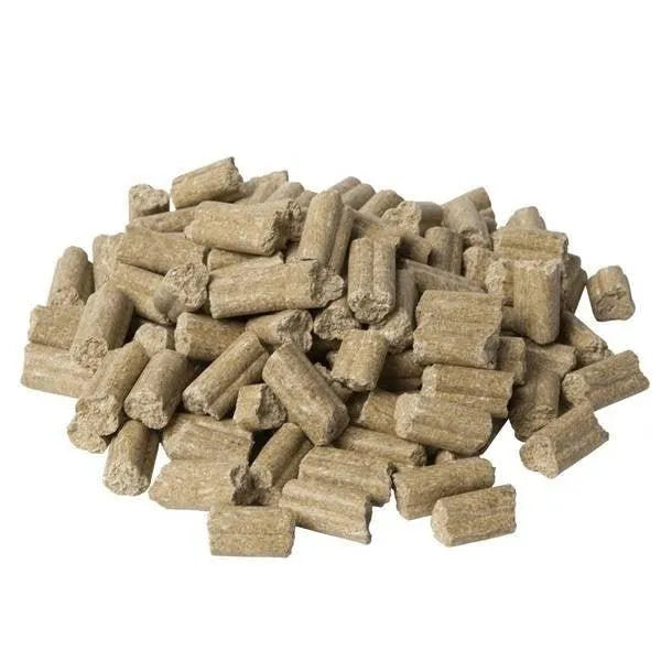 Horse Treat Apple - Onlinedierenwereld