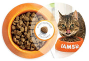 Iams Adult Zalm - Onlinedierenwereld