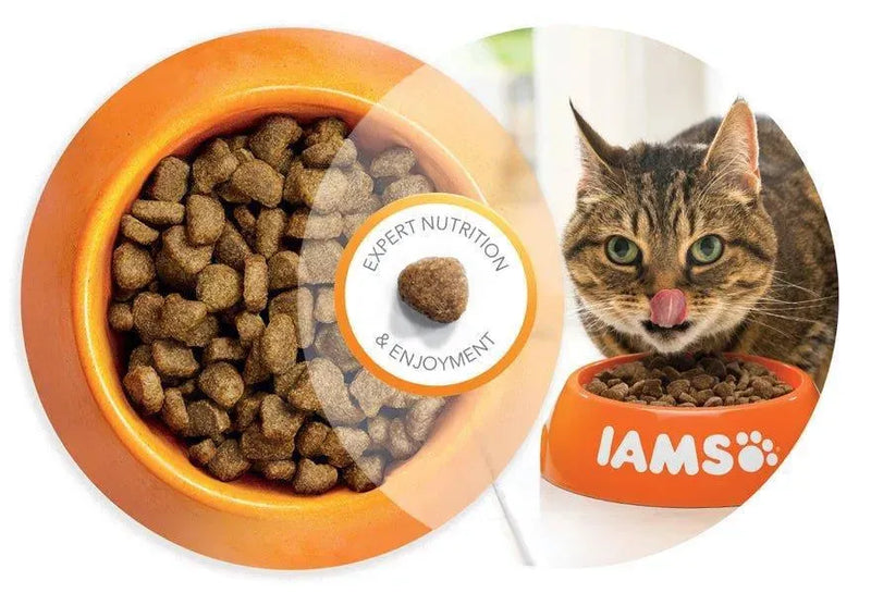 Iams Senior 7+ Chicken - Onlinedierenwereld