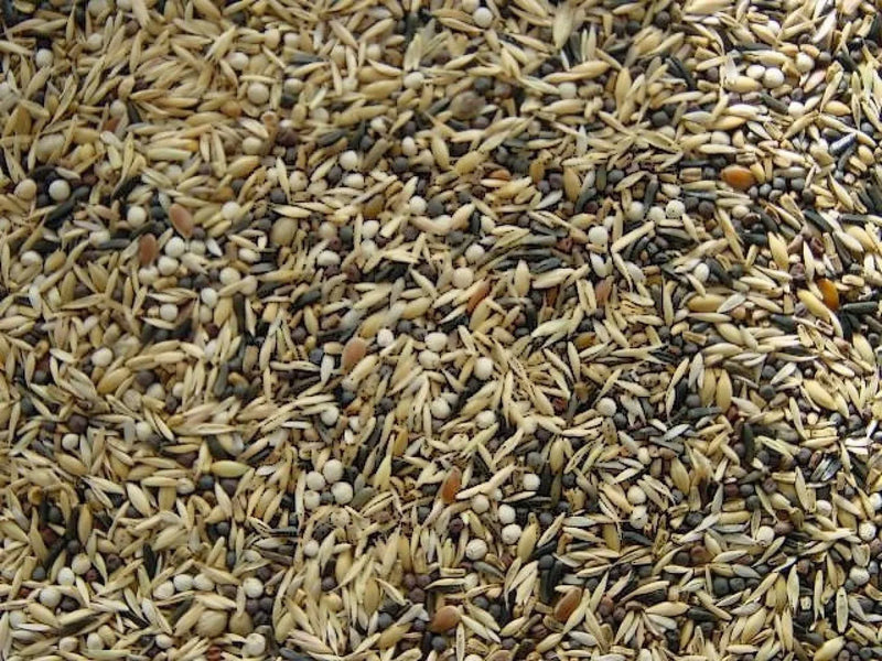 Koenings Amerikaans Sijzenvoer (15 kg) - Onlinedierenwereld