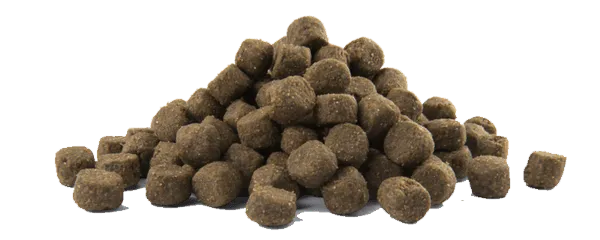Opti Life Prime Adult Salmon - Onlinedierenwereld