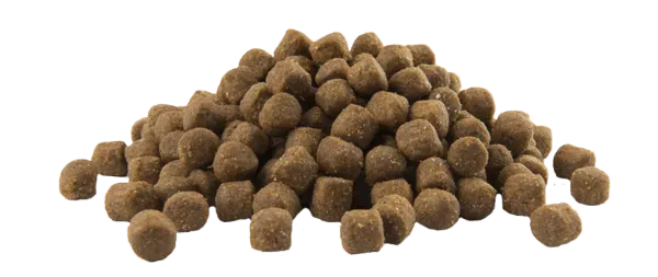 Brok Opti Life Puppy Medium - Onlinedierenwereld