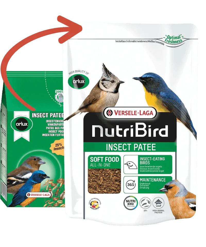 Orlux Insect patee (20 kg) - Onlinedierenwereld