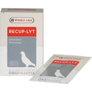 Recup-Lyt electrolyten (240g) - Onlinedierenwereld