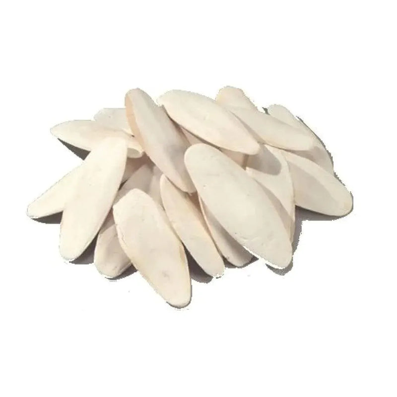 Sepia 1 kg (15 -18 cm) - Onlinedierenwereld