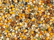 Vanrobaeys (Nr.13) Super Speciaal Rui - Onlinedierenwereld