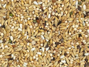 Vanrobaeys (Nr. 14) Zuivering Speciaal - Onlinedierenwereld