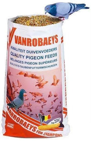 Vanrobaeys (Nr.16) Winter/Rust - Onlinedierenwereld