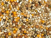 Vanrobaeys (Nr. 20) Kweek Super Speciaal - Onlinedierenwereld