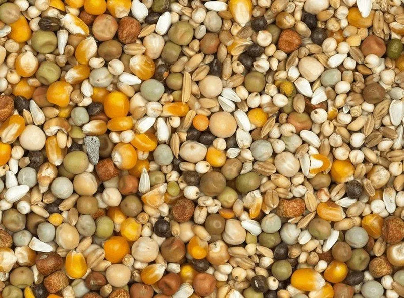 Vanrobaeys (Nr. 20) Kweek Super Speciaal - Onlinedierenwereld