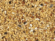 Vanrobaeys (Nr. 21) Zuivering Standaard - Onlinedierenwereld